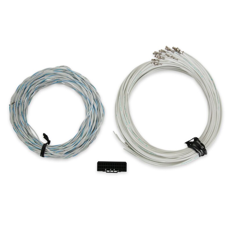 AEM EV Vehicle Control Unit