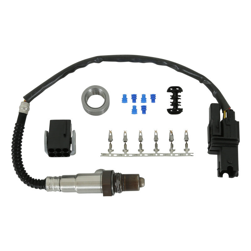 AEM Digital Gauges