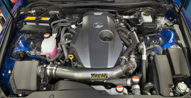 AEM IND Cold Air Intakes