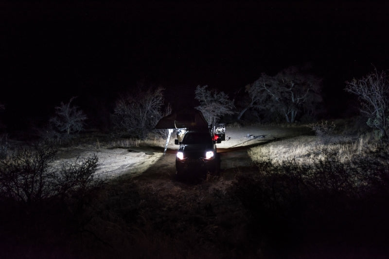 KCL C-Series LED Lights
