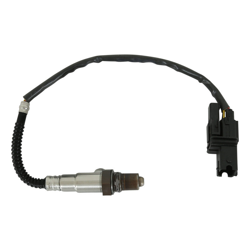 AEM Digital Gauges