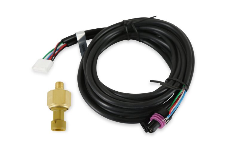 AEM Digital Gauges