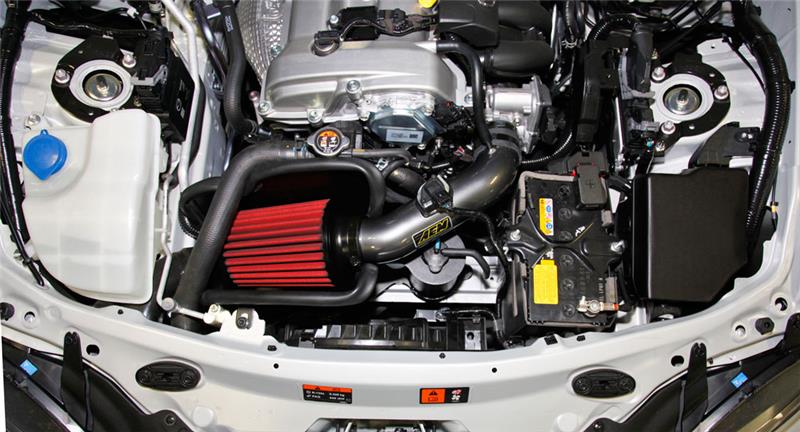AEM IND Cold Air Intakes